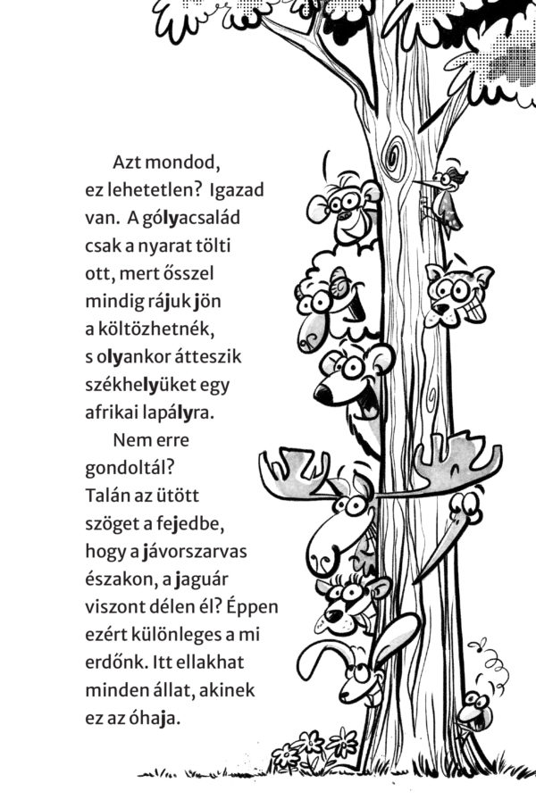 A_siraly_a_kiraly_03