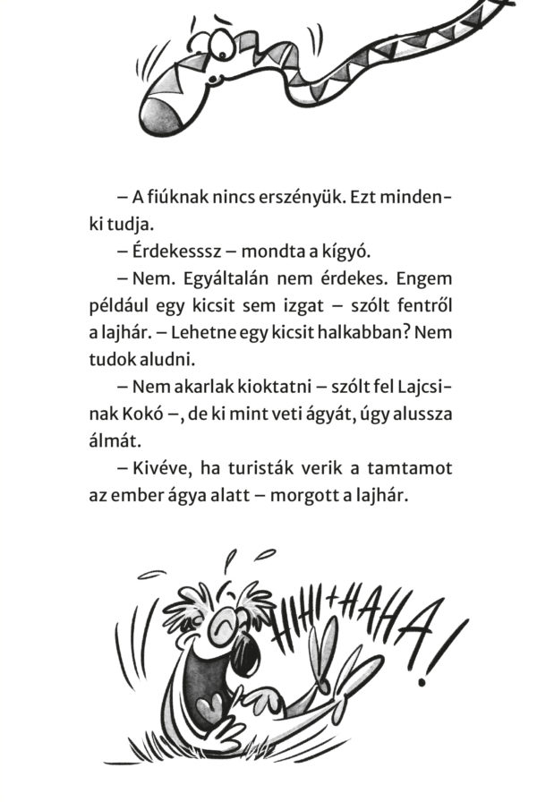 Ket_bolond_03