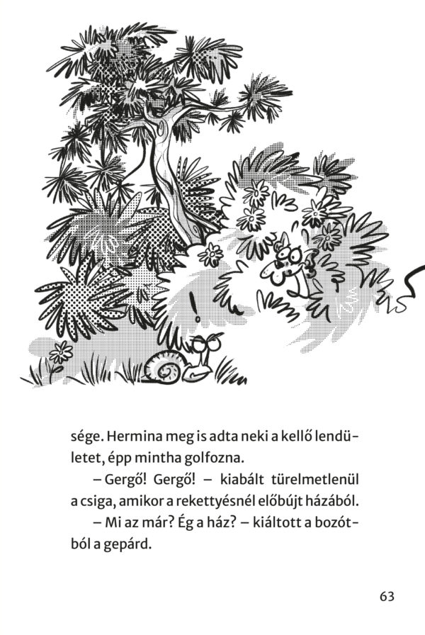 Ket_bolond_04